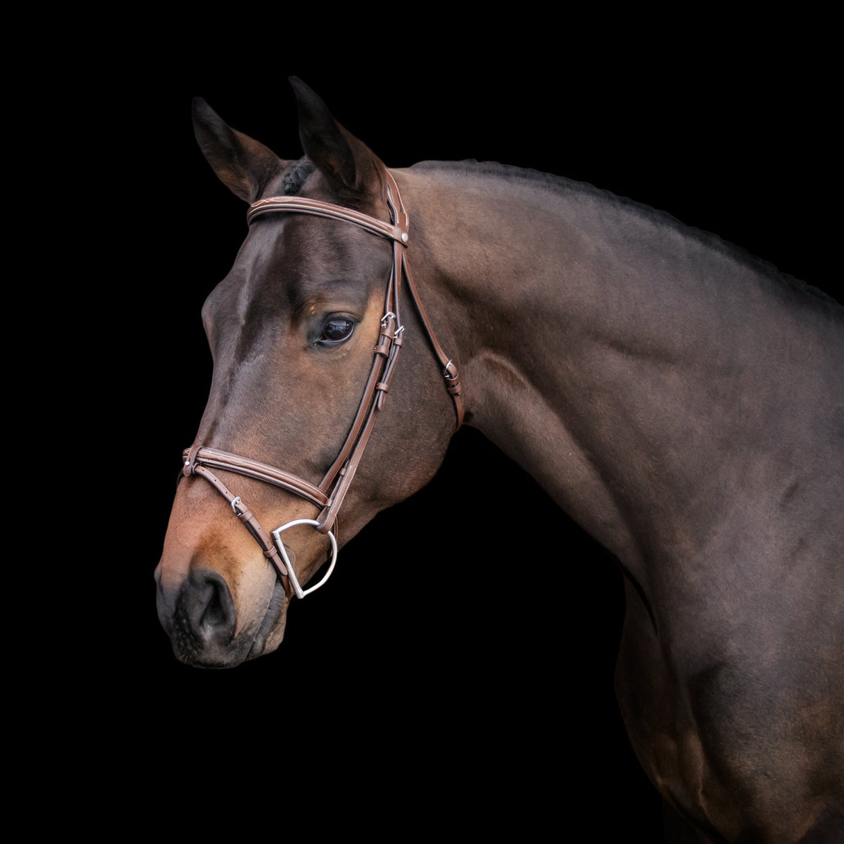 Val du Bois Padded Fancy Stitched Bridle W/ Removable Flash