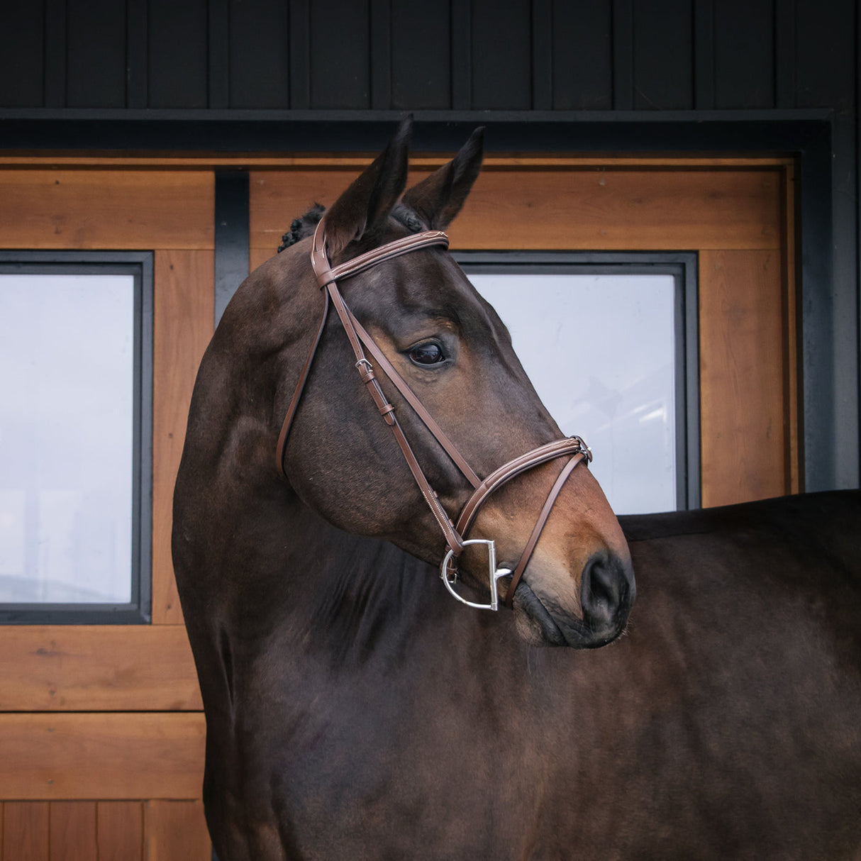 Val du Bois Padded Fancy Stitched Bridle W/ Removable Flash