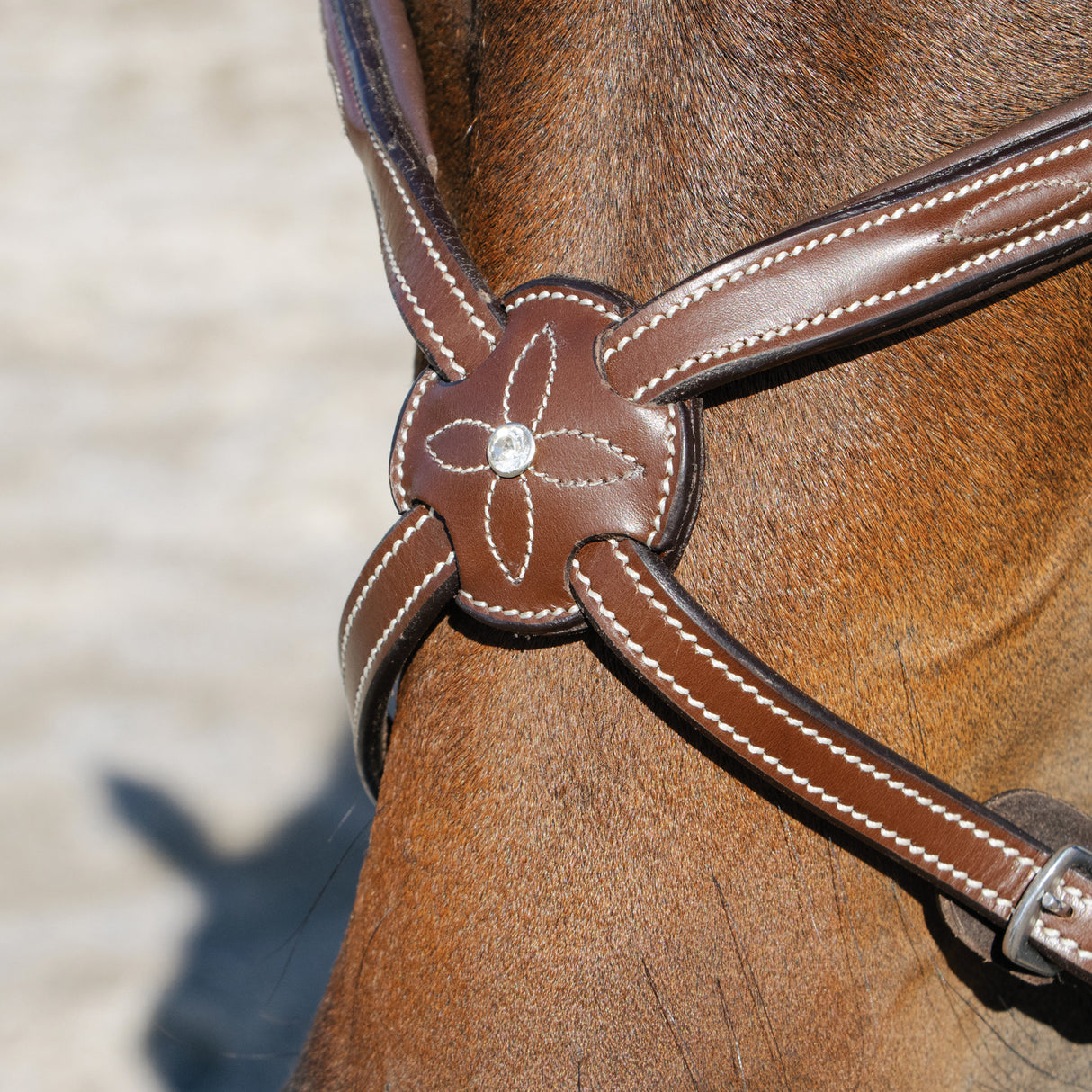 Val du Bois Padded Fancy Stitched Figure 8 Noseband