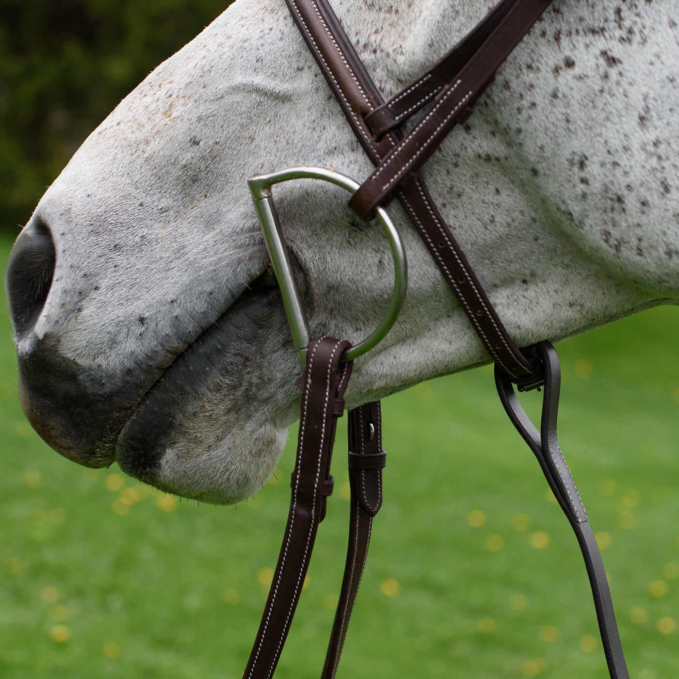 Connemara Standing Martingale