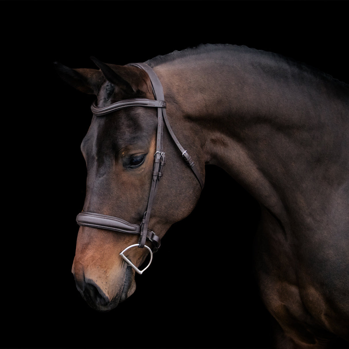 Val du Bois Padded Neck Relief Ergonomic Bridle