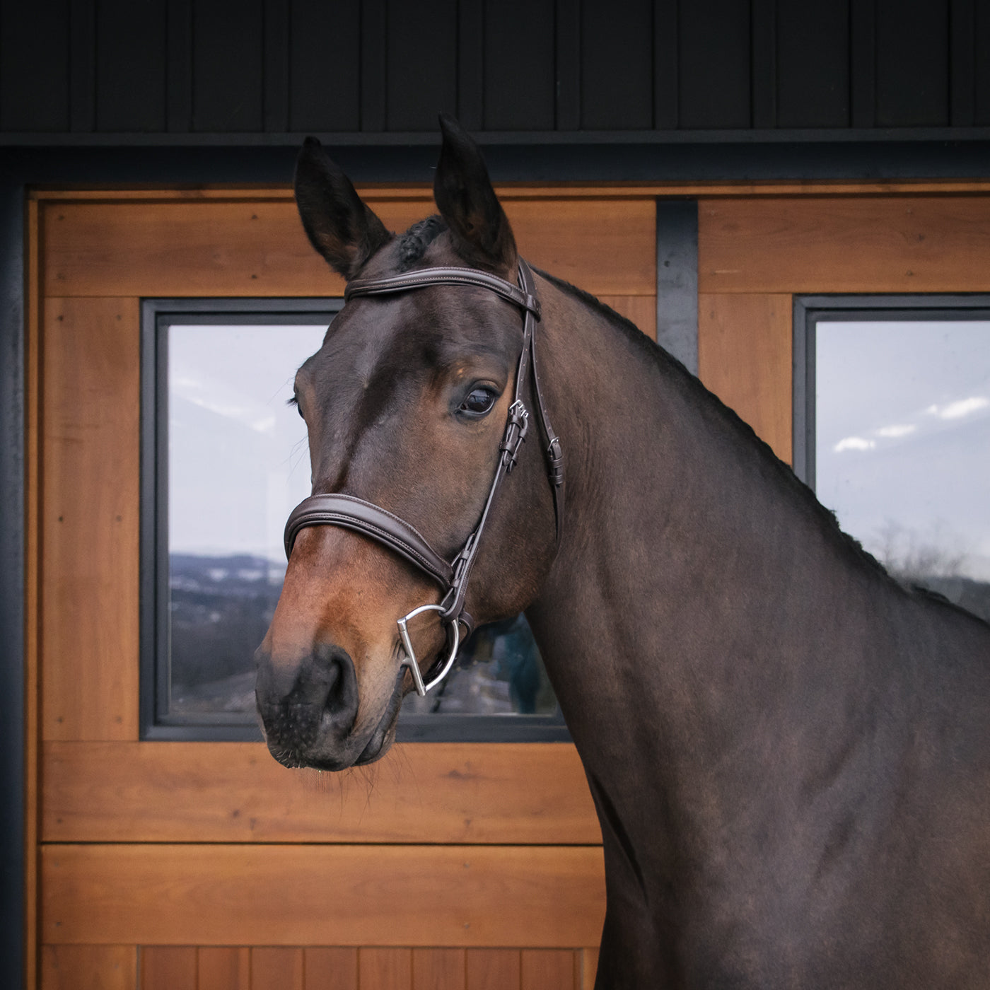 Val du Bois Padded Neck Relief Ergonomic Bridle