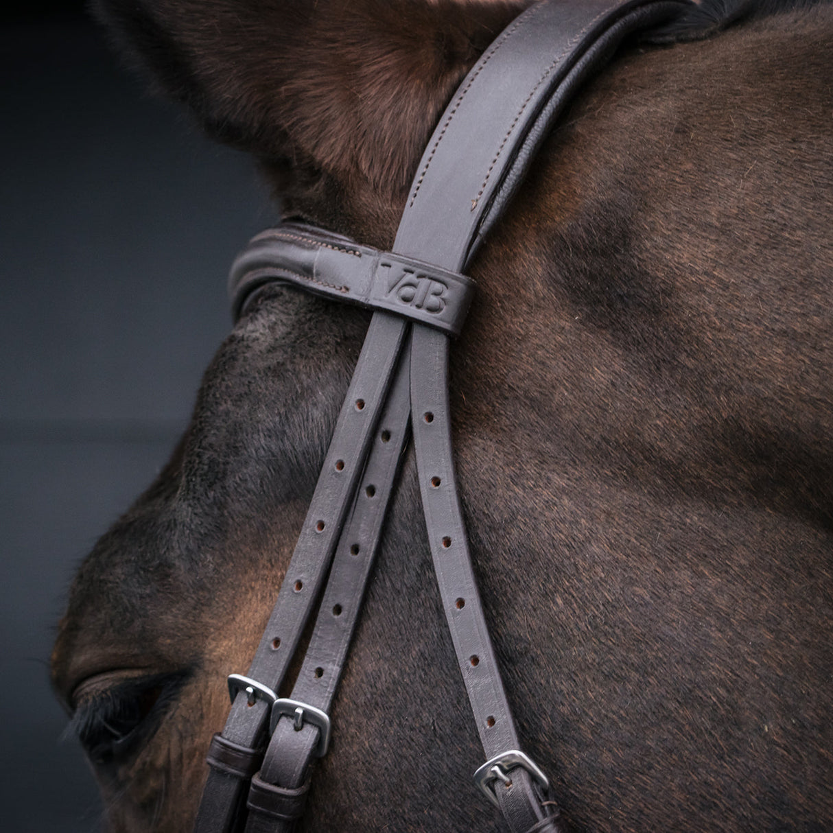 Val du Bois Padded Neck Relief Ergonomic Bridle