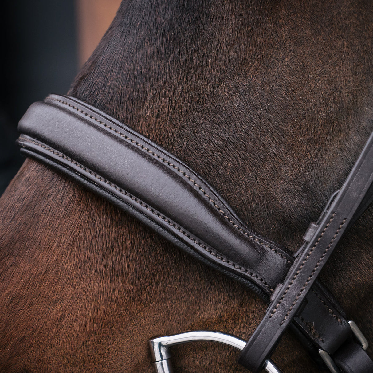 Val du Bois Padded Neck Relief Ergonomic Bridle
