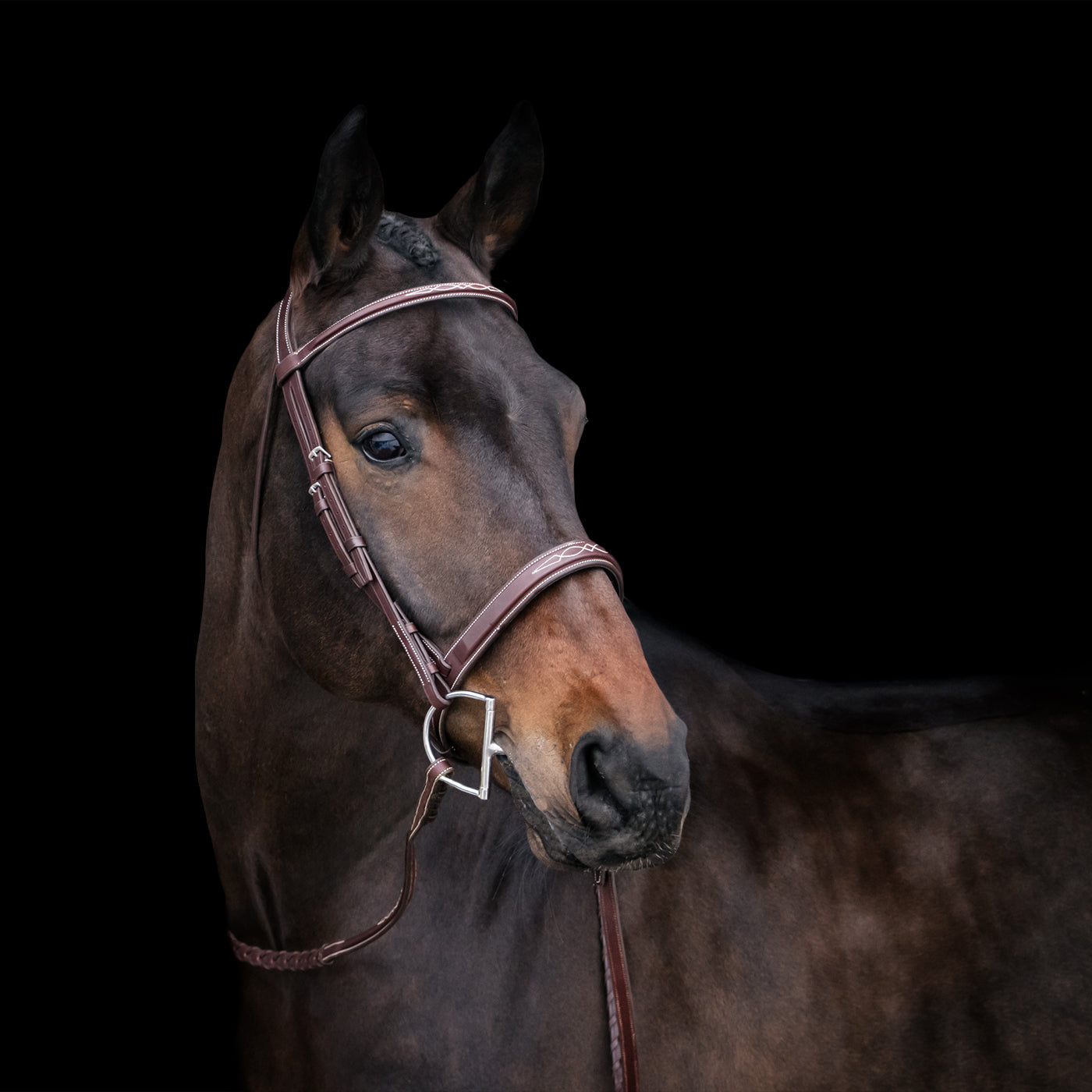 Mondega Gayo Classic Hunter Bridle