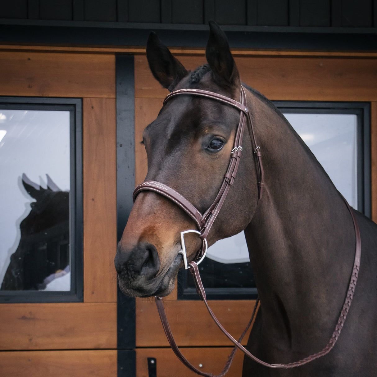 Mondega Gayo Classic Hunter Bridle