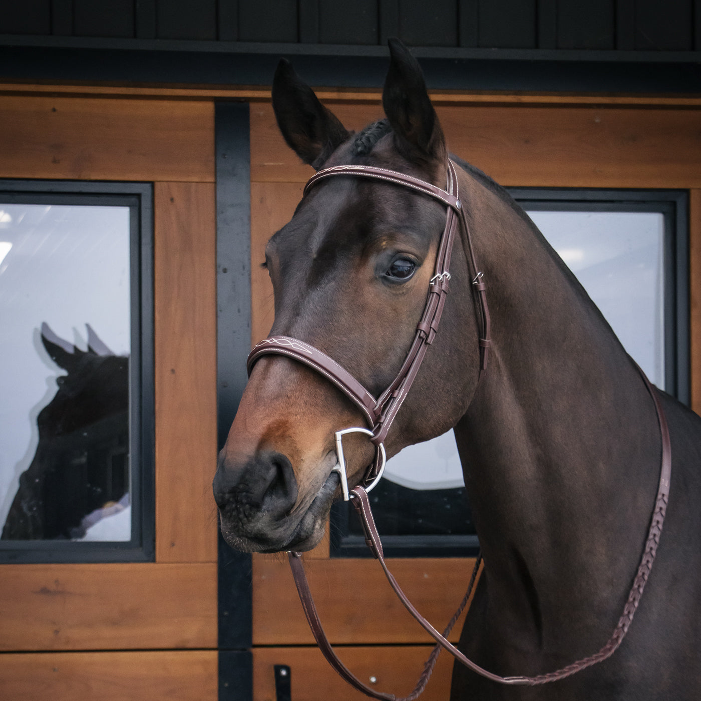 Mondega Gayo Classic Hunter Bridle