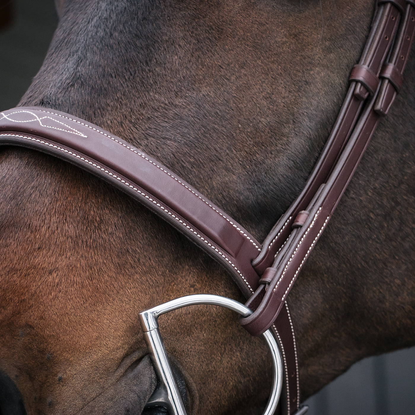 Mondega Gayo Classic Hunter Bridle