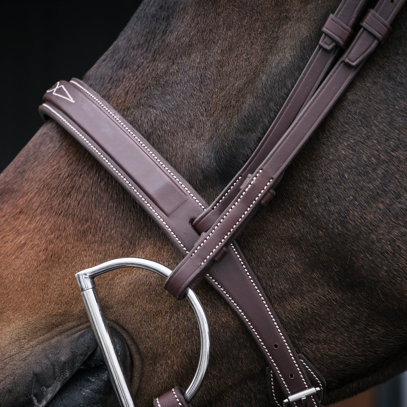 Mondega Gayo Classic Hunter Bridle