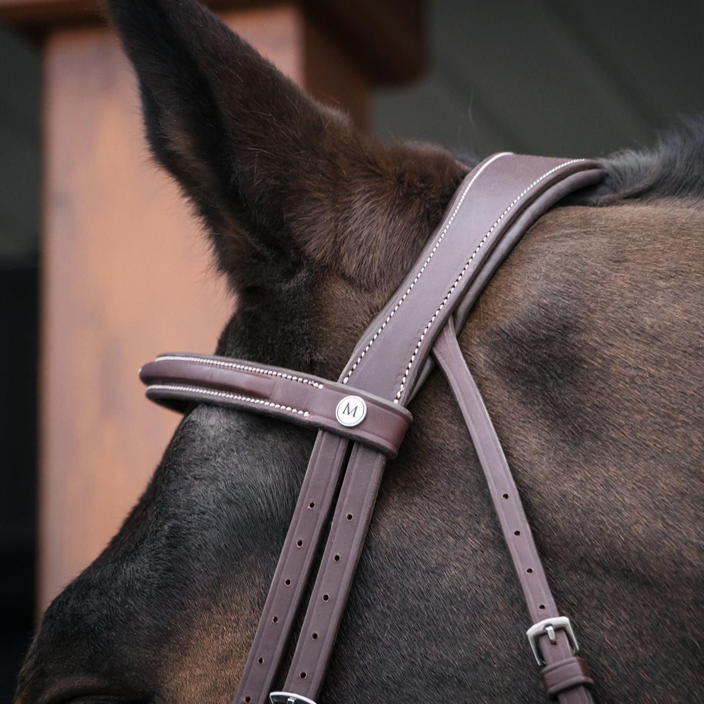 Mondega Gayo Classic Hunter Bridle