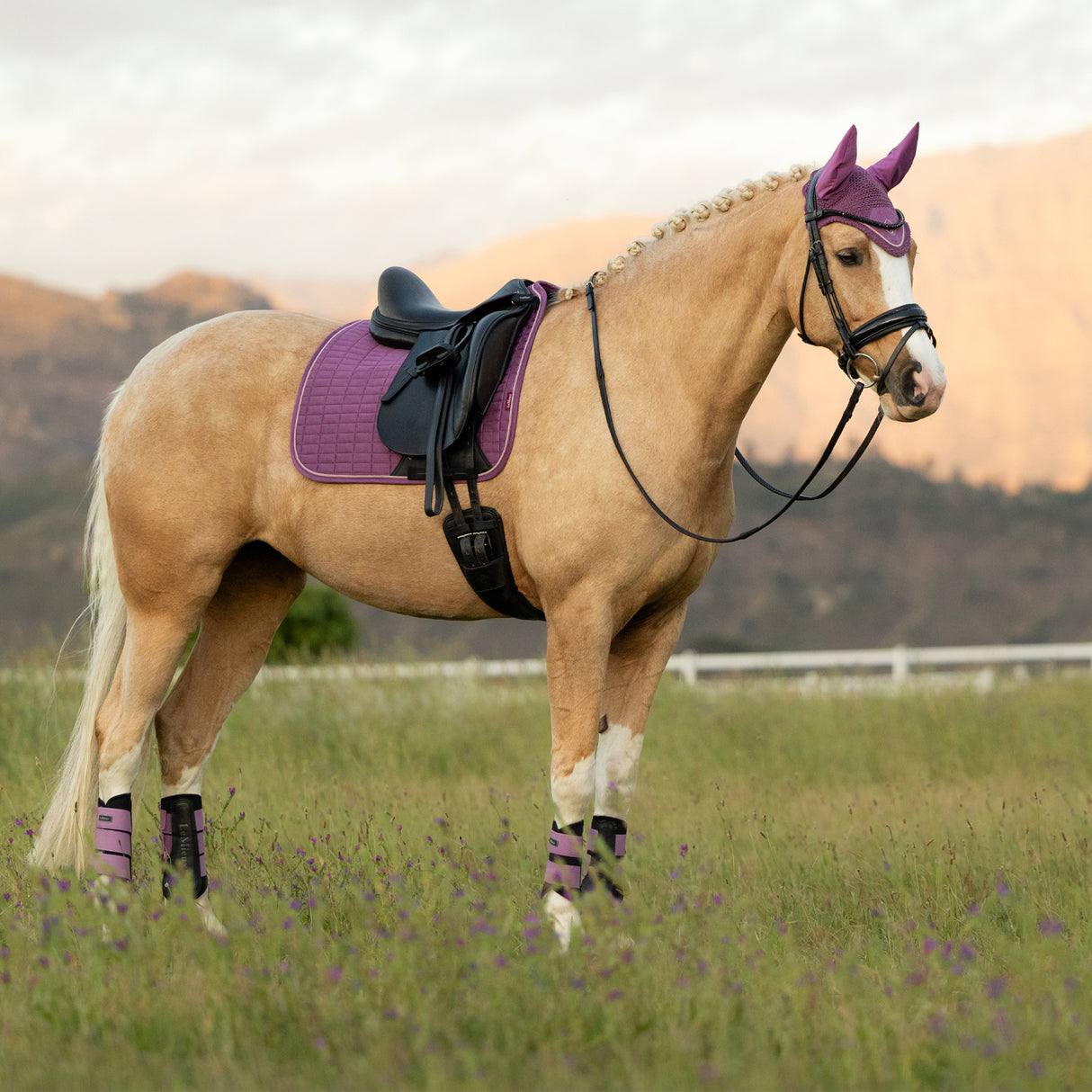 LeMieux Suede Dressage Square Saddle Pad