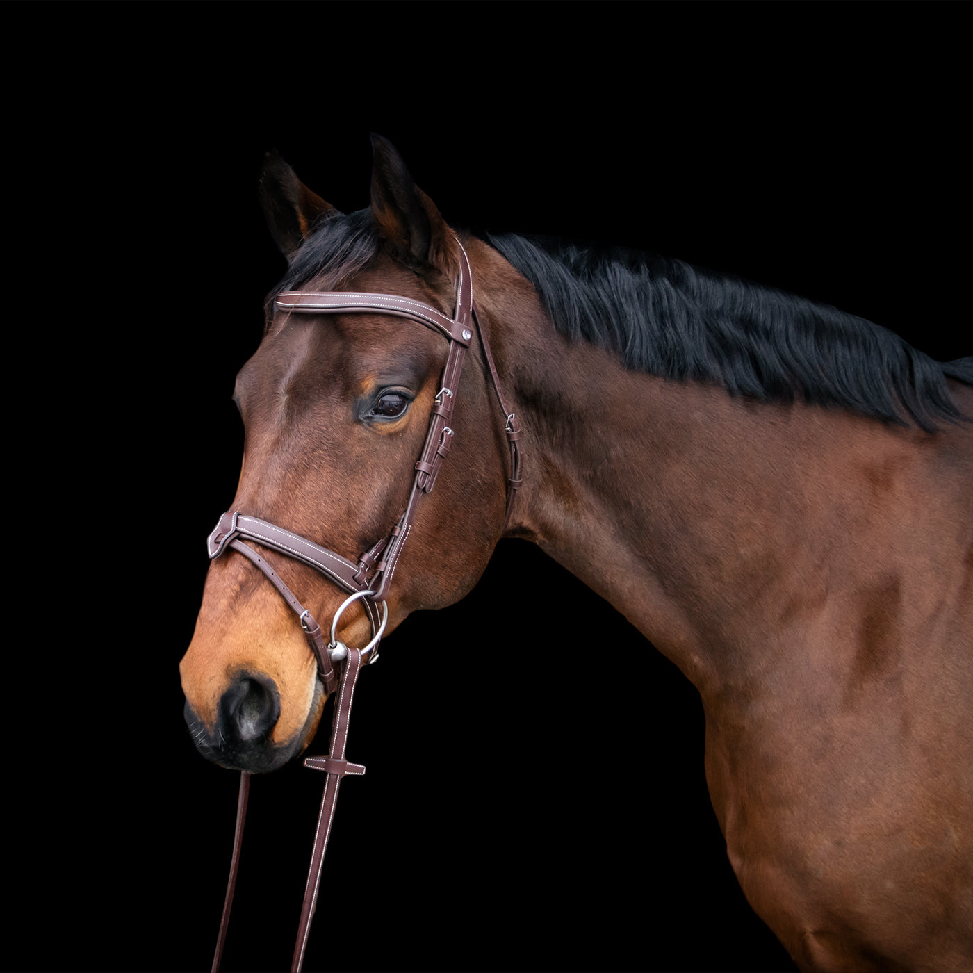 Mondega Bayeux Poll Relief Anatomical Bridle