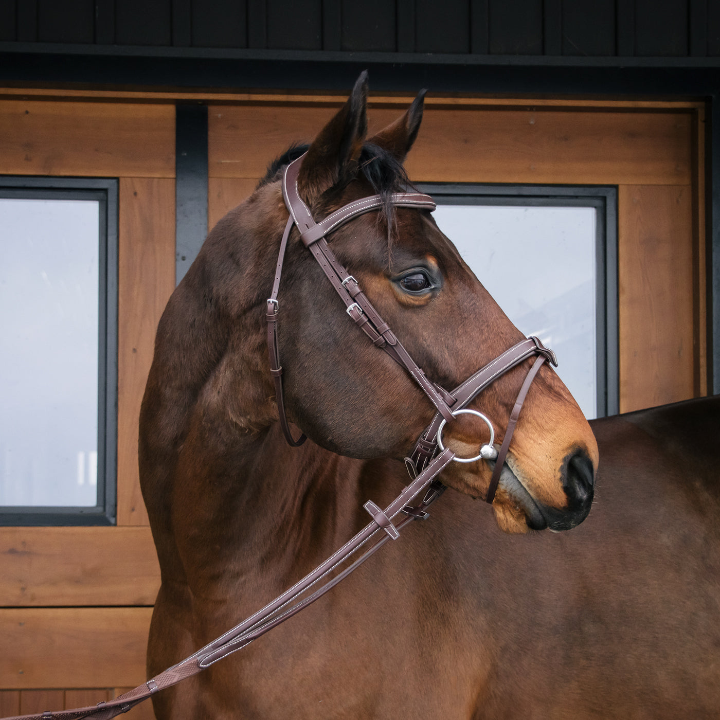 Mondega Bayeux Poll Relief Anatomical Bridle