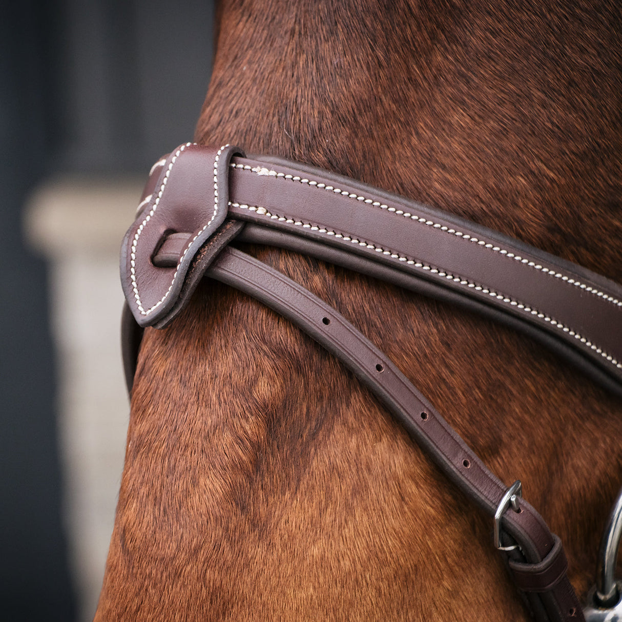 Mondega Bayeux Poll Relief Anatomical Bridle