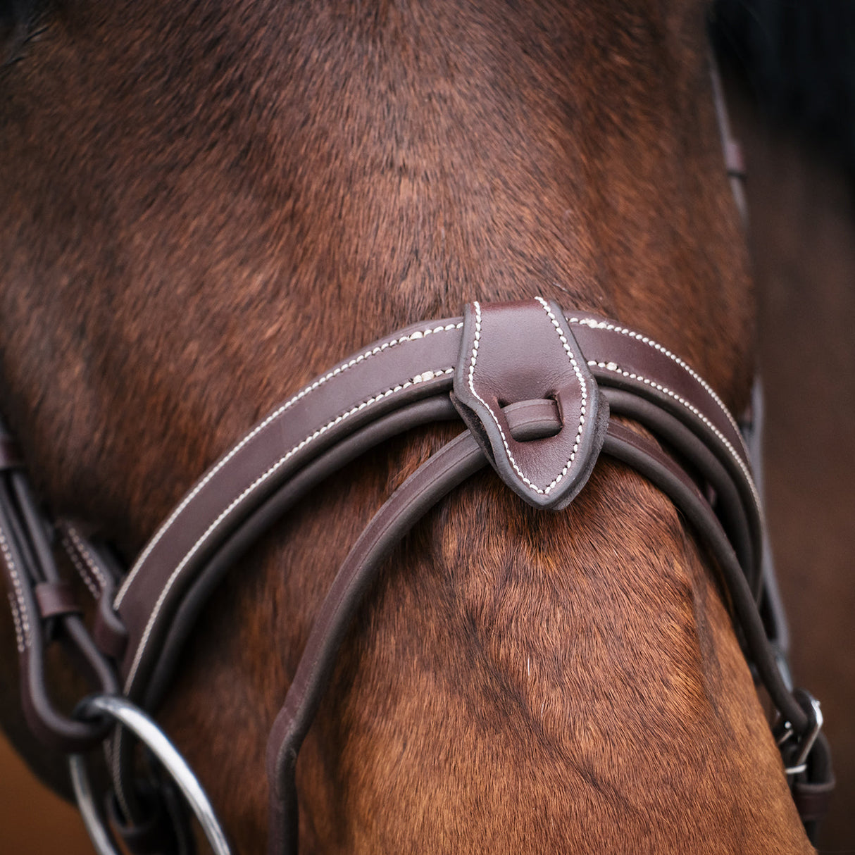 Mondega Bayeux Poll Relief Anatomical Bridle