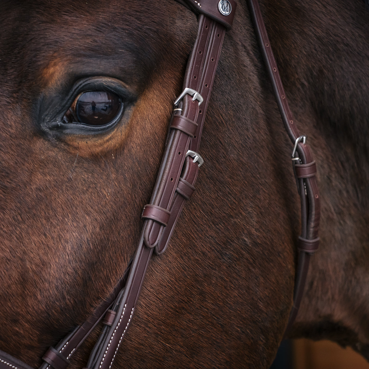 Mondega Bayeux Poll Relief Anatomical Bridle