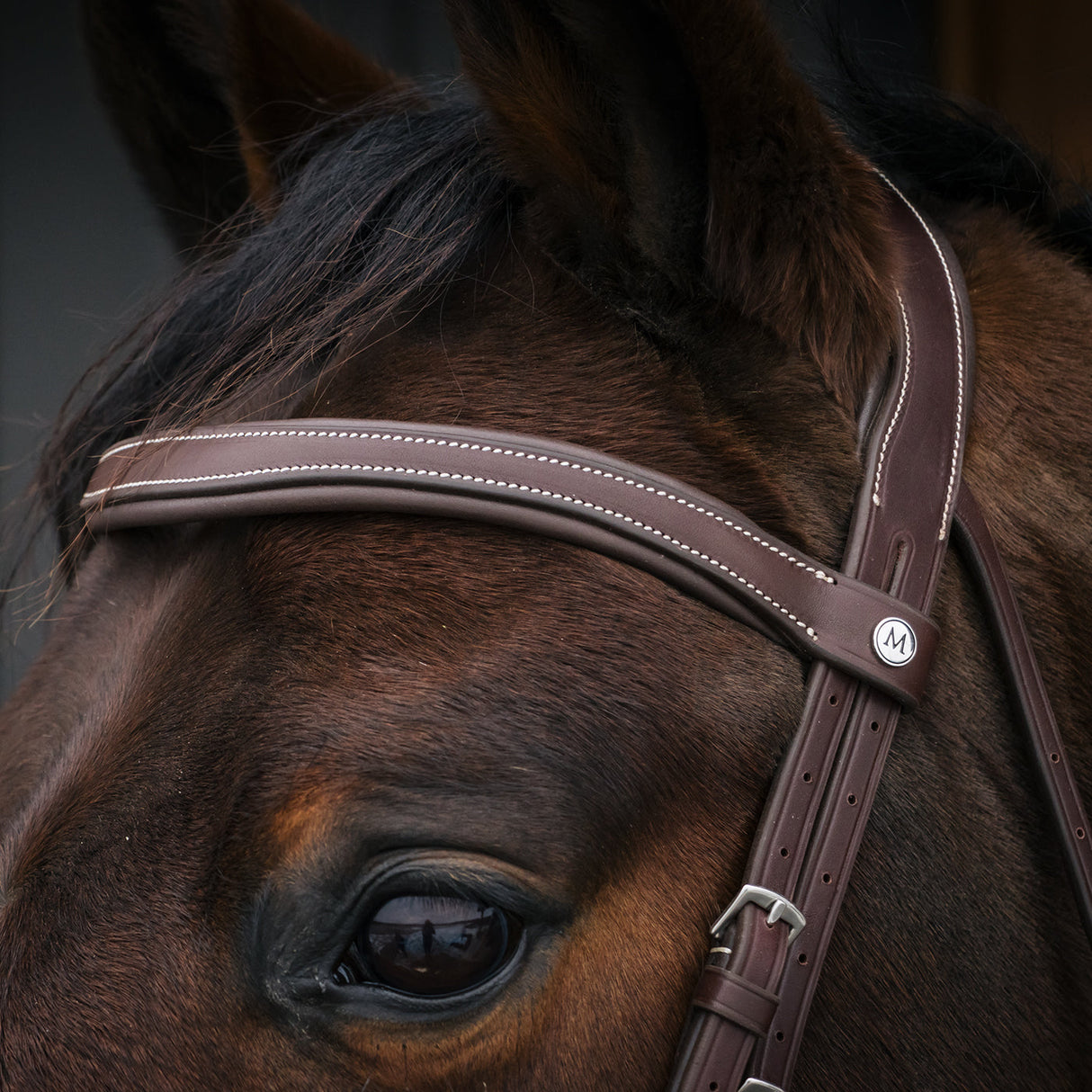 Mondega Bayeux Poll Relief Anatomical Bridle