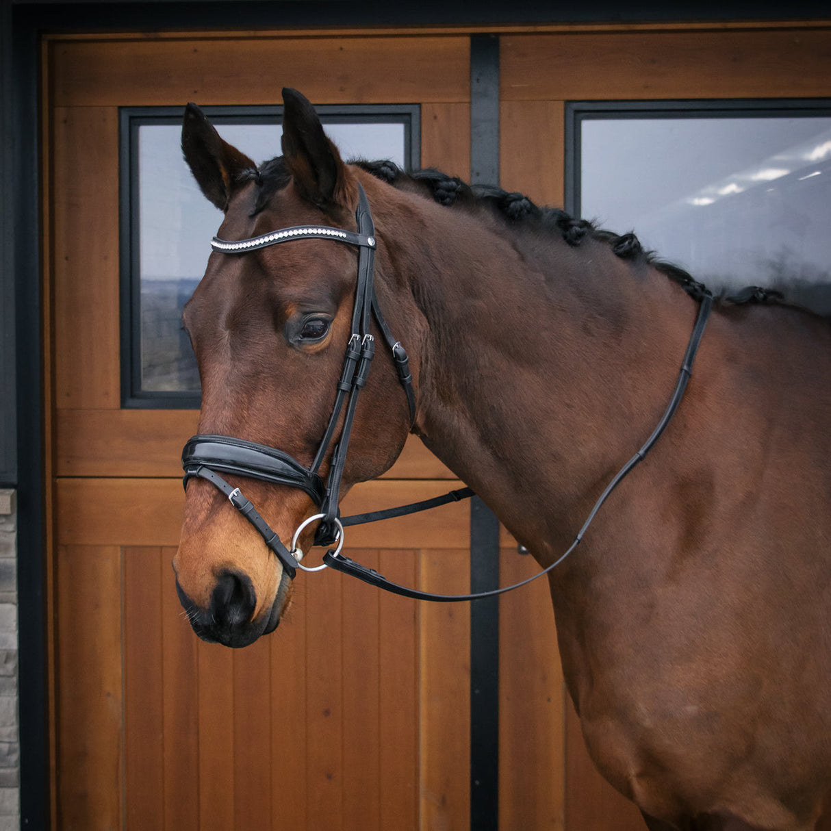 Mondega Laval Dressage Bridle