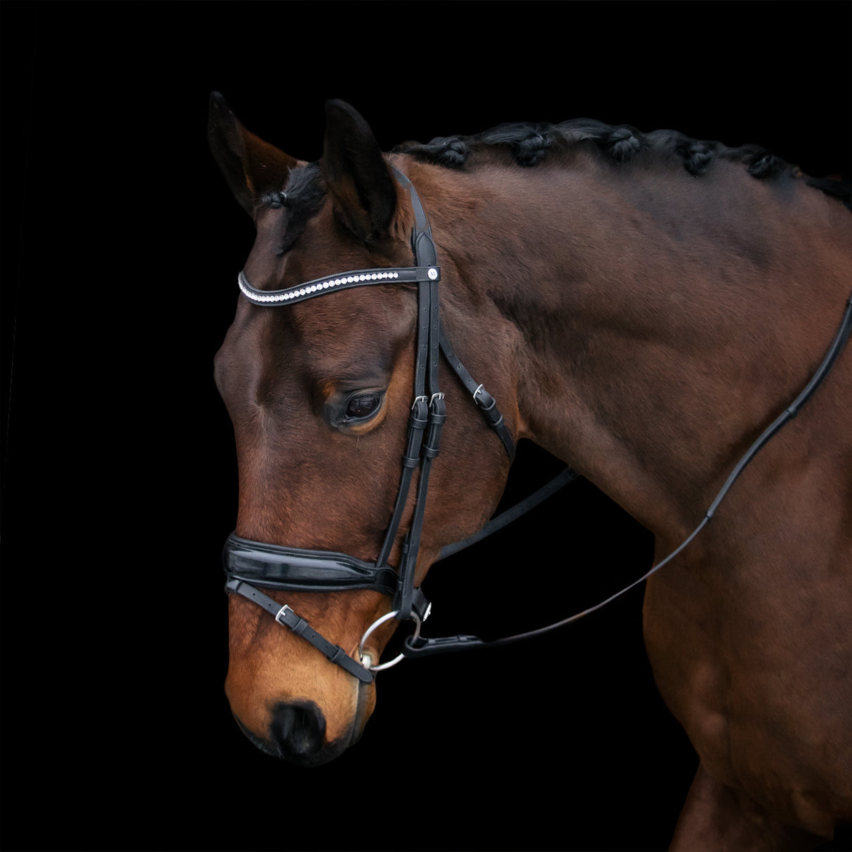 Mondega Laval Dressage Bridle
