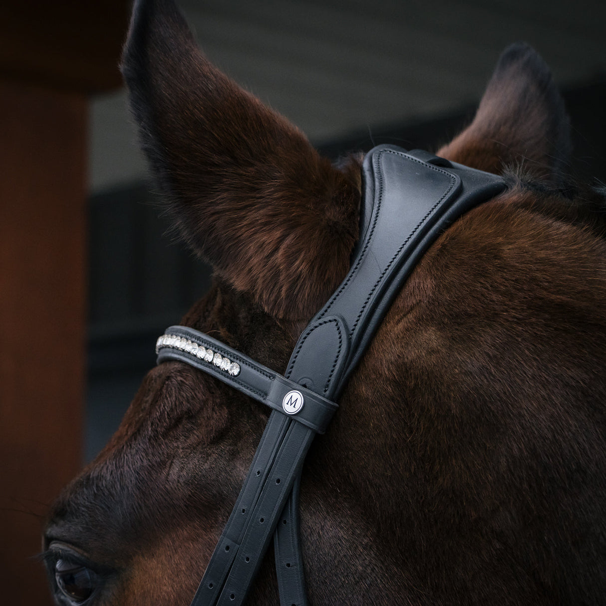 Mondega Laval Dressage Bridle