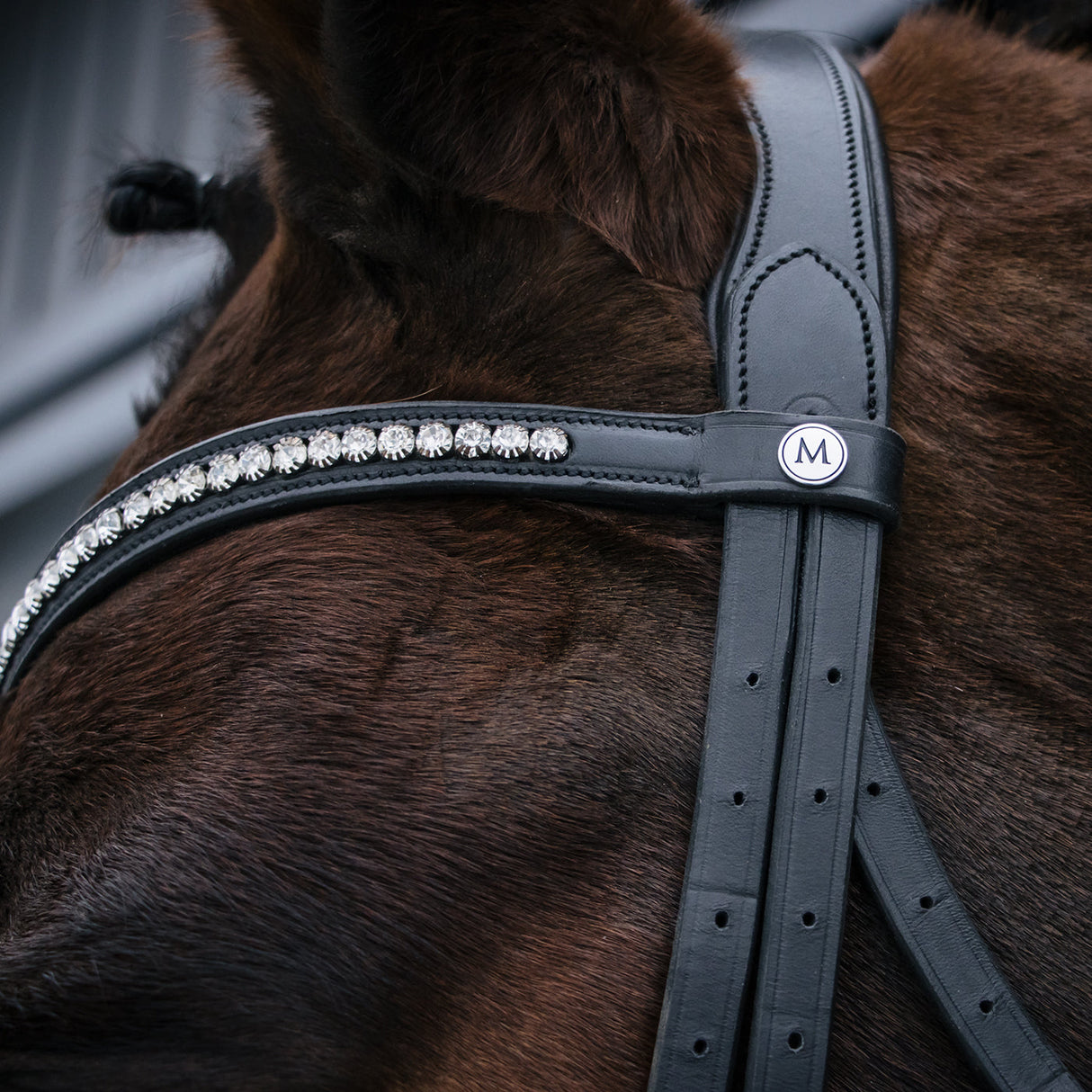Mondega Laval Dressage Bridle