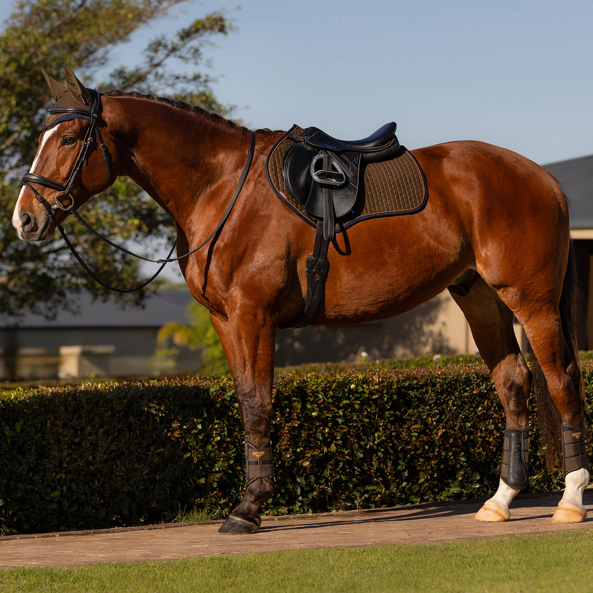 LeMieux Classic Suede Close Contact Square Saddle Pad