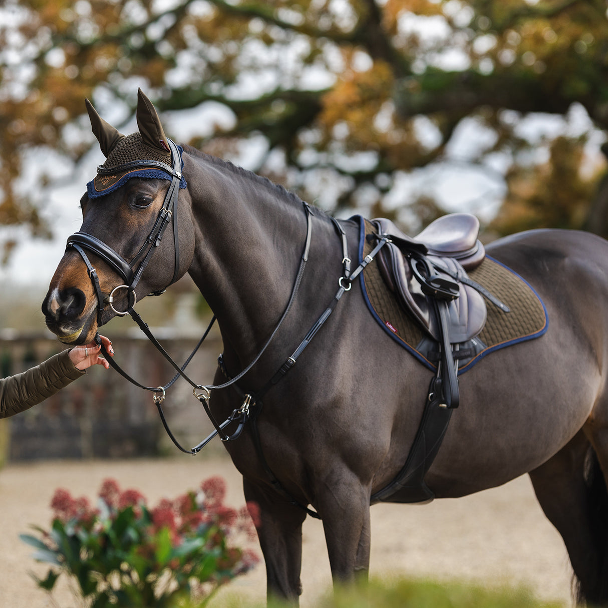 LeMieux Classic Suede Close Contact Square Saddle Pad