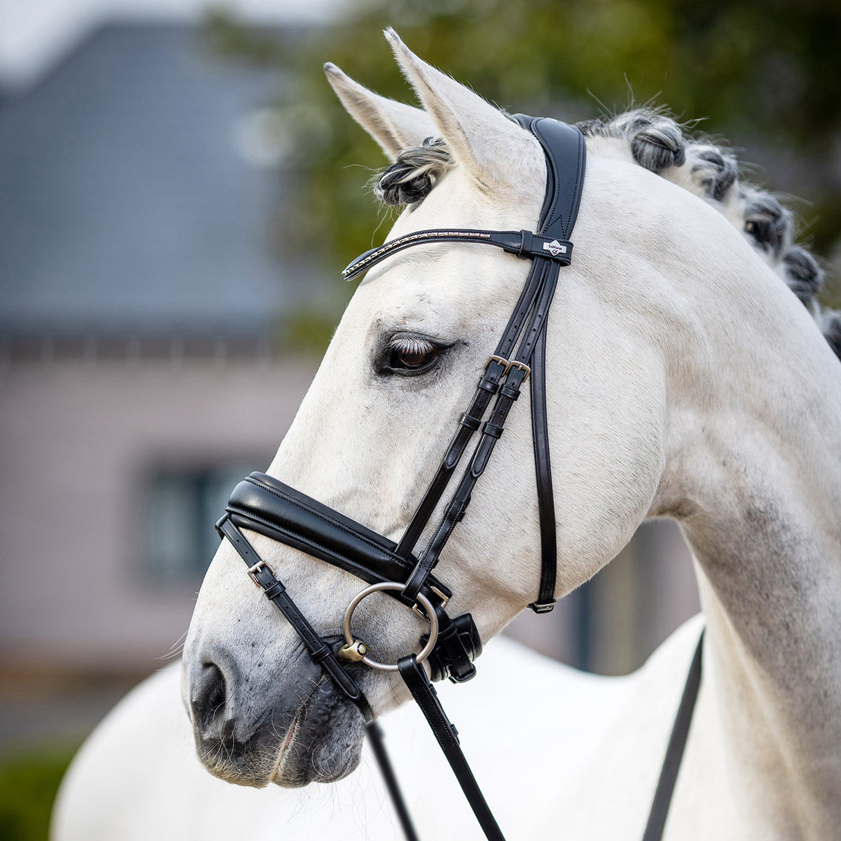 LeMieux Kudos Classic Dressage Bridle