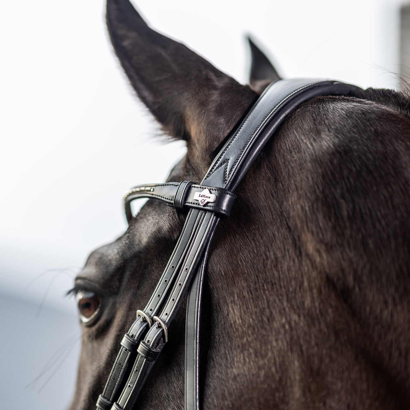 LeMieux Kudos Classic Dressage Bridle