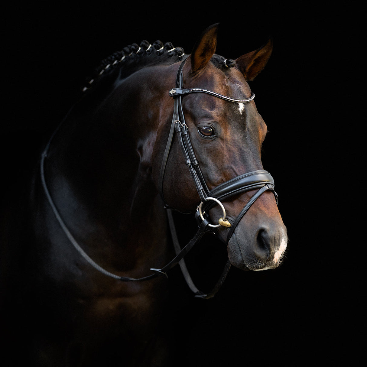 LeMieux Kudos Classic Dressage Bridle