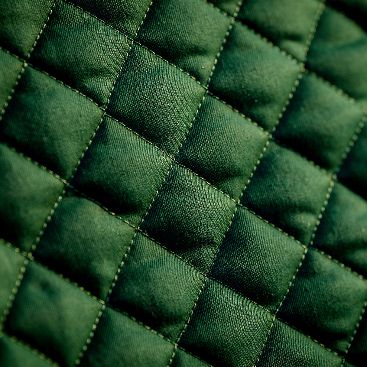 Horseware Signature Jumping Saddle Pad