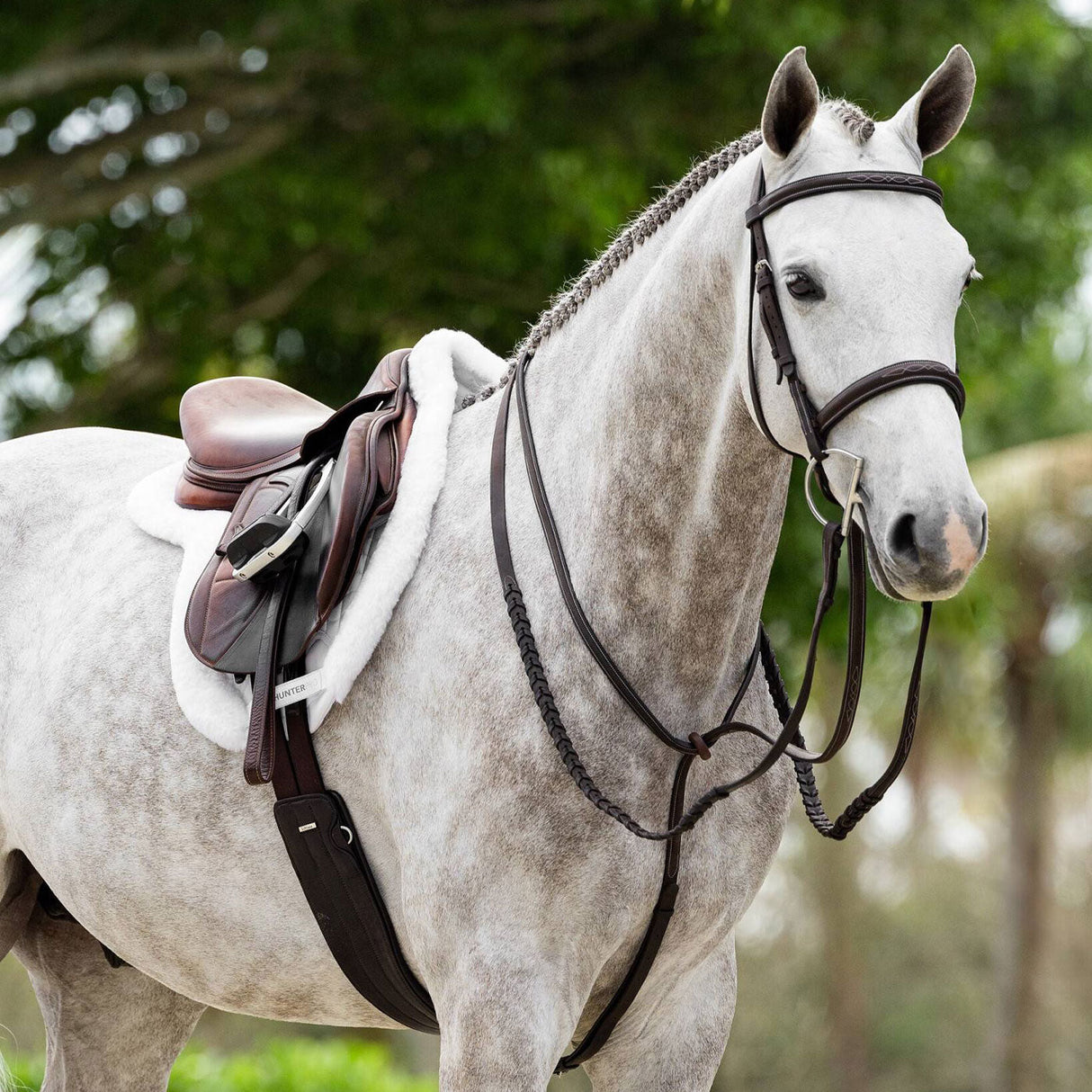 LeMieux Merino + ProSorb Hunter Saddle Pad