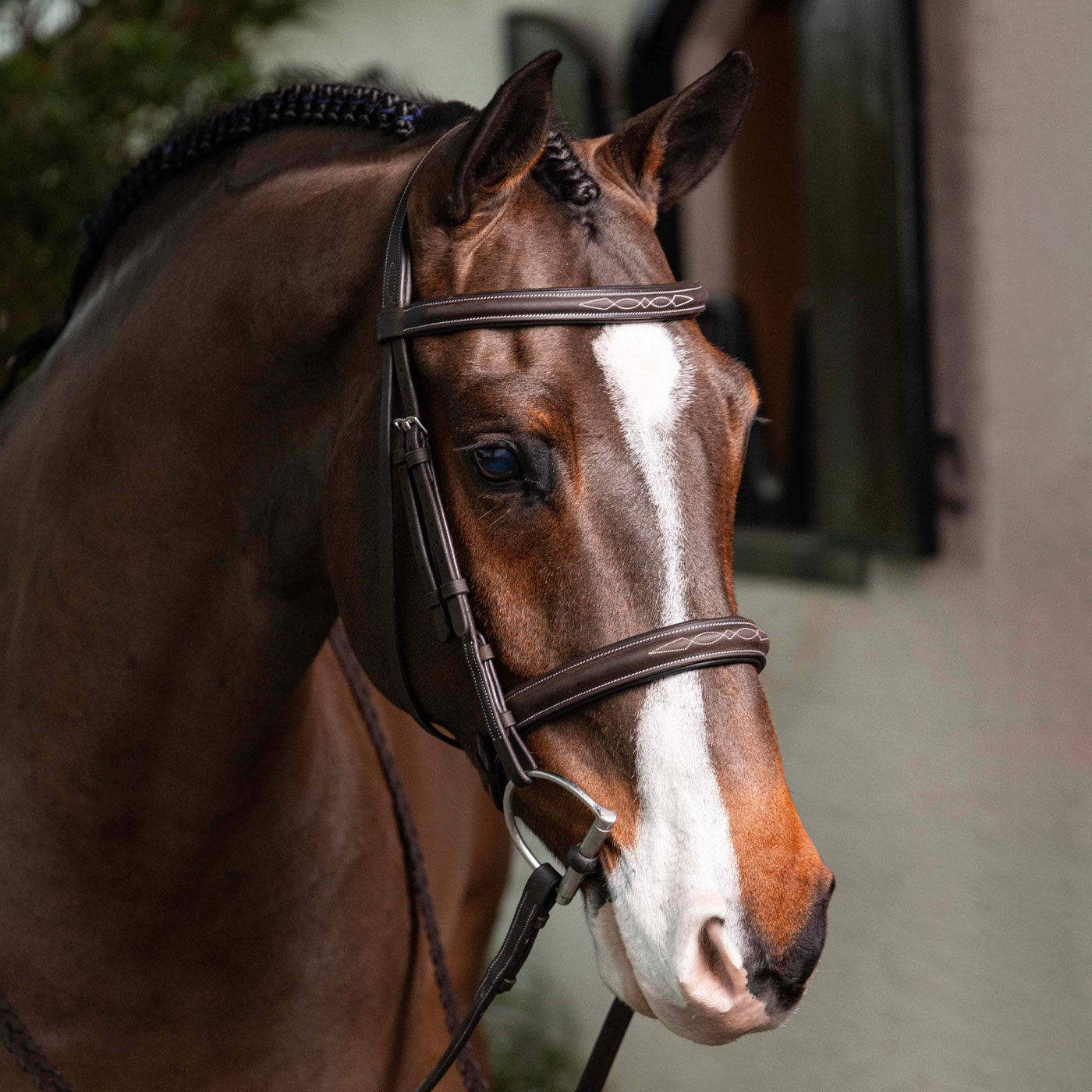 LeMieux Hunter Bridle W/ Reins
