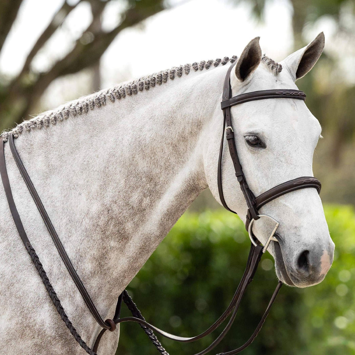 LeMieux Hunter Bridle W/ Reins