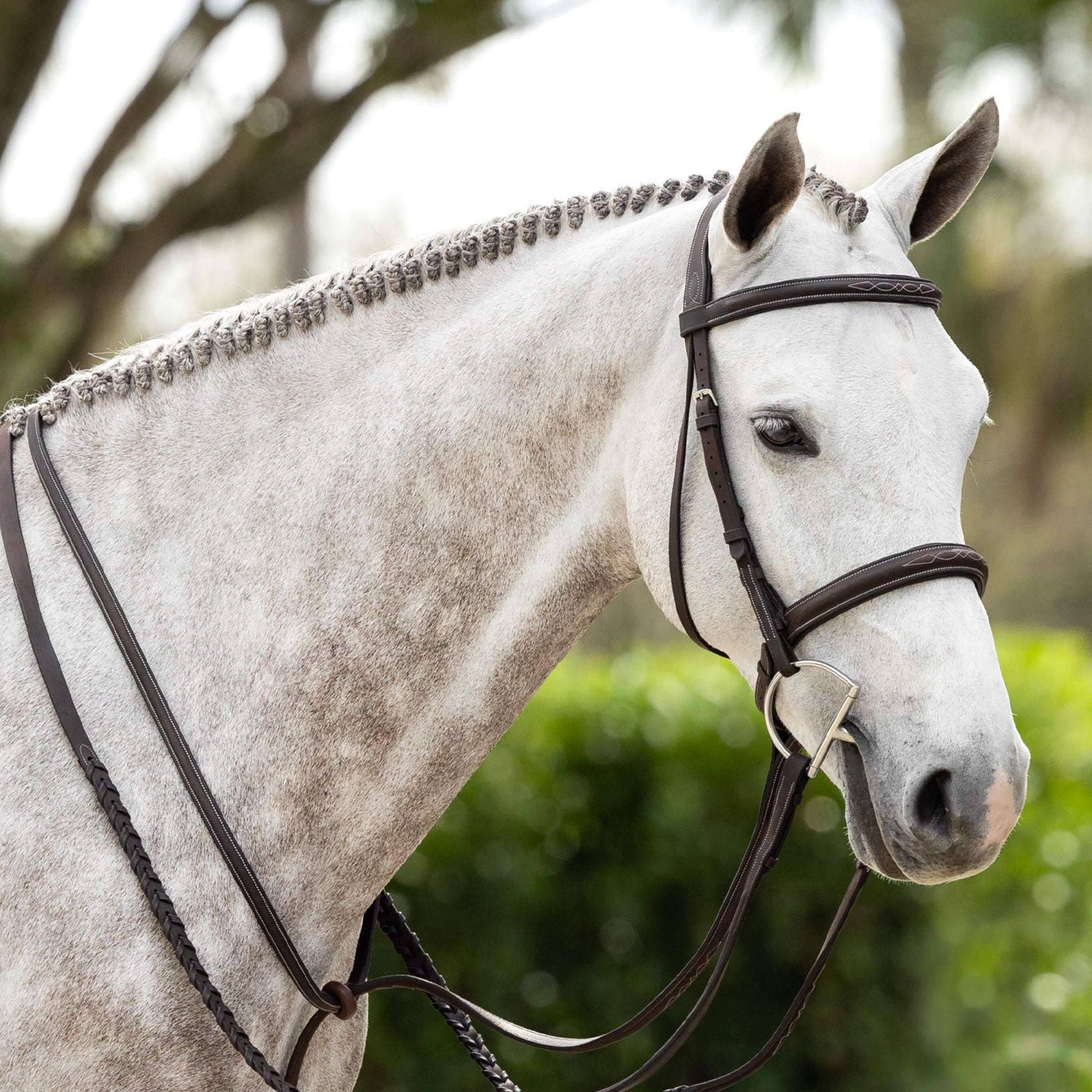 LeMieux Hunter Bridle W/ Reins
