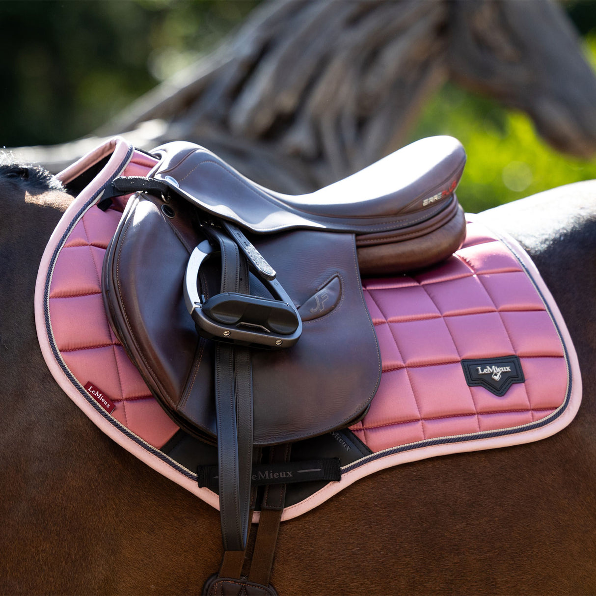 LeMieux Loire Classic Close Contact Saddle Pad