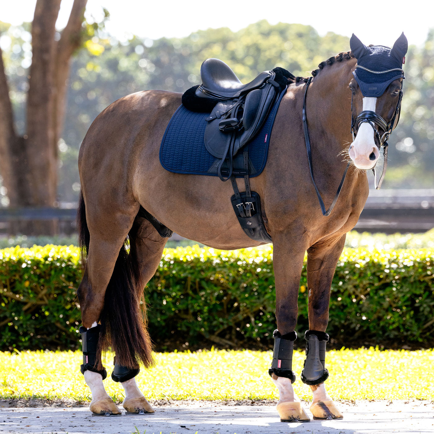 LeMieux Essence Dressage Saddle Pad