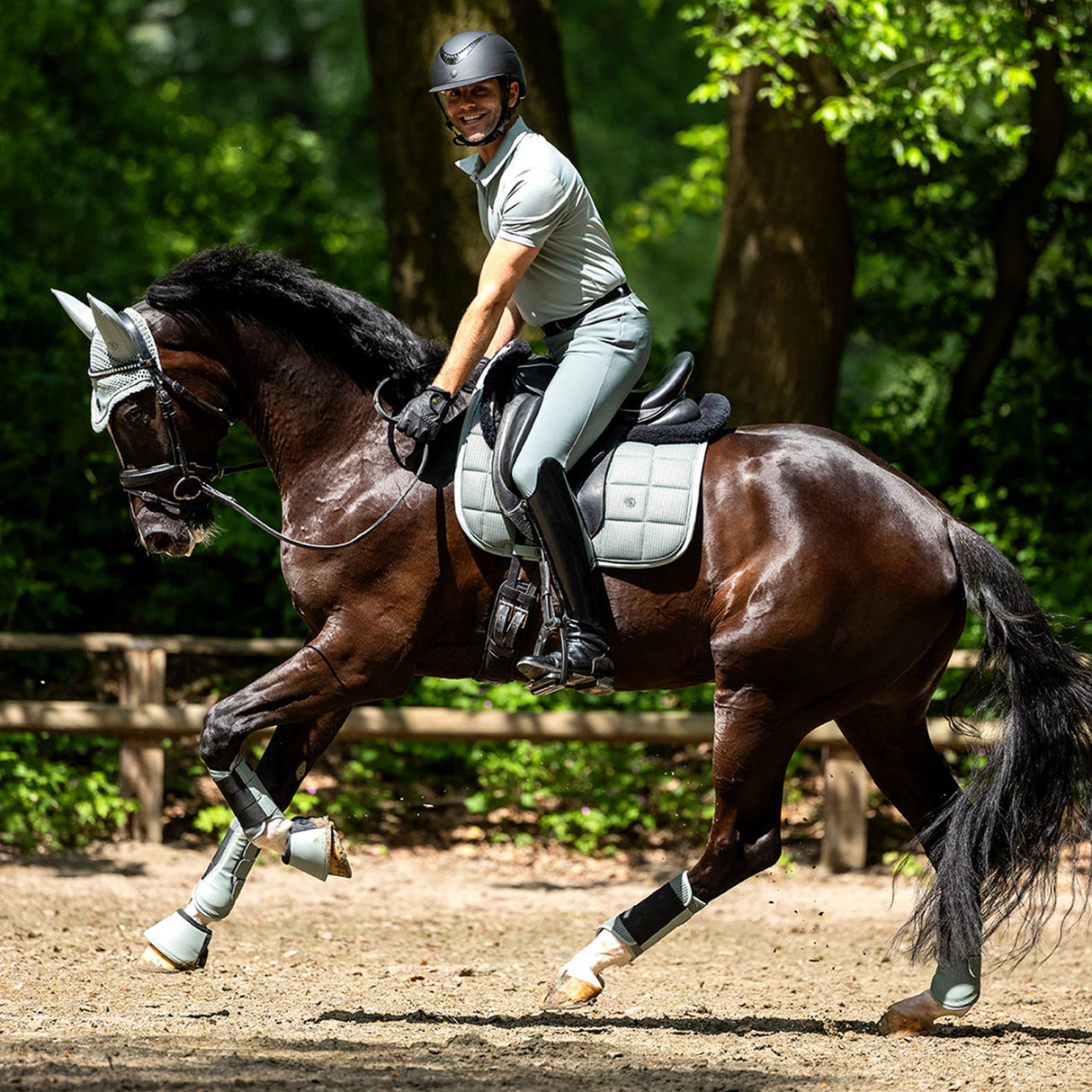 BR Idzard Dressage Saddle Pad