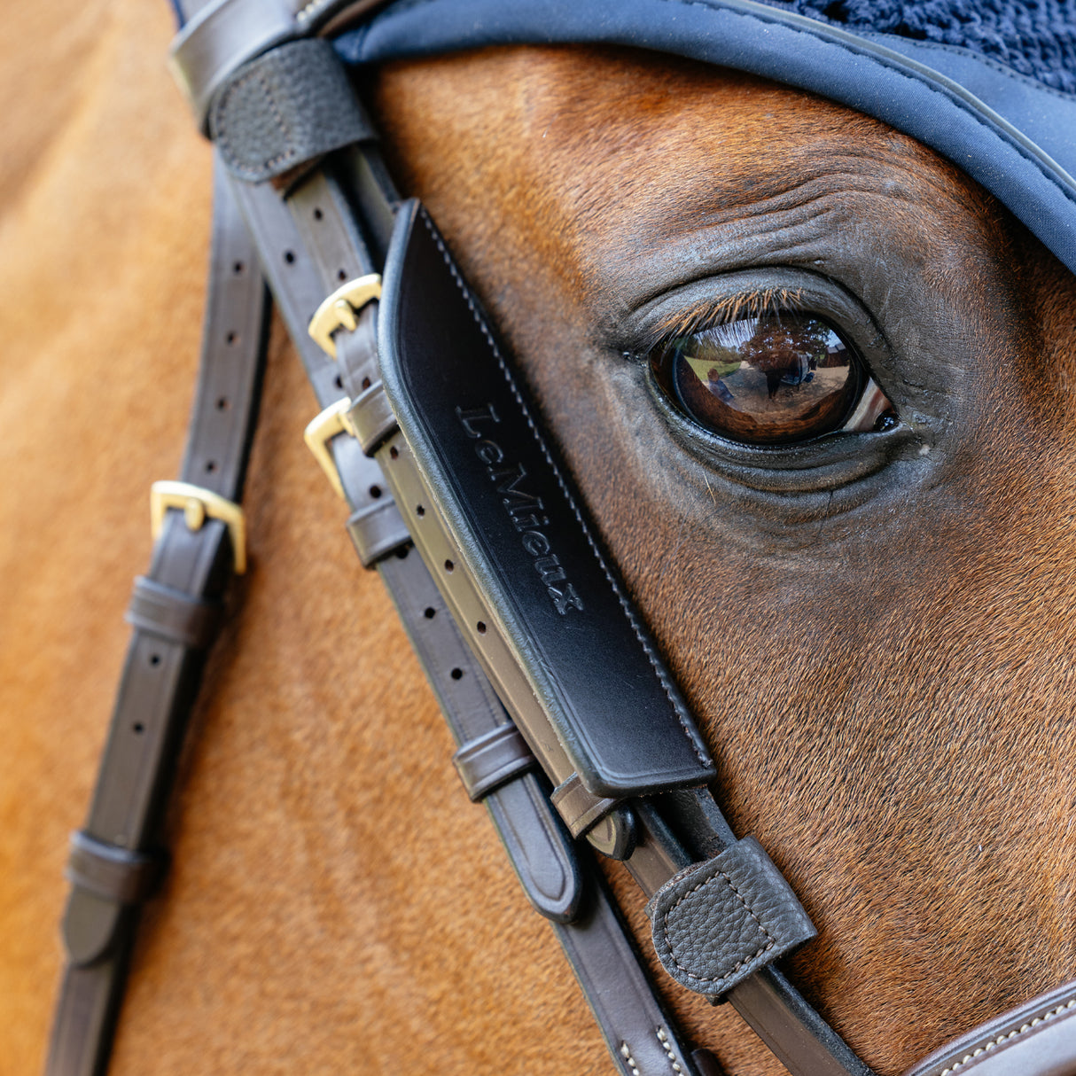 LeMieux Leather Bridle Blinkers