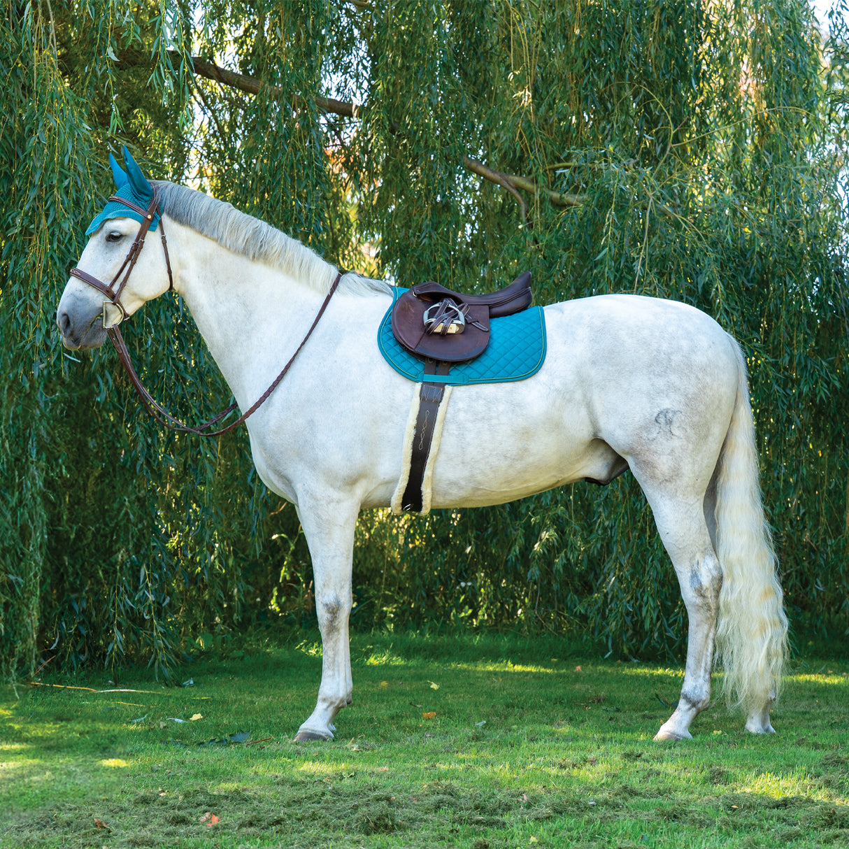 Shedrow Original Pony Saddle Pad 2.0