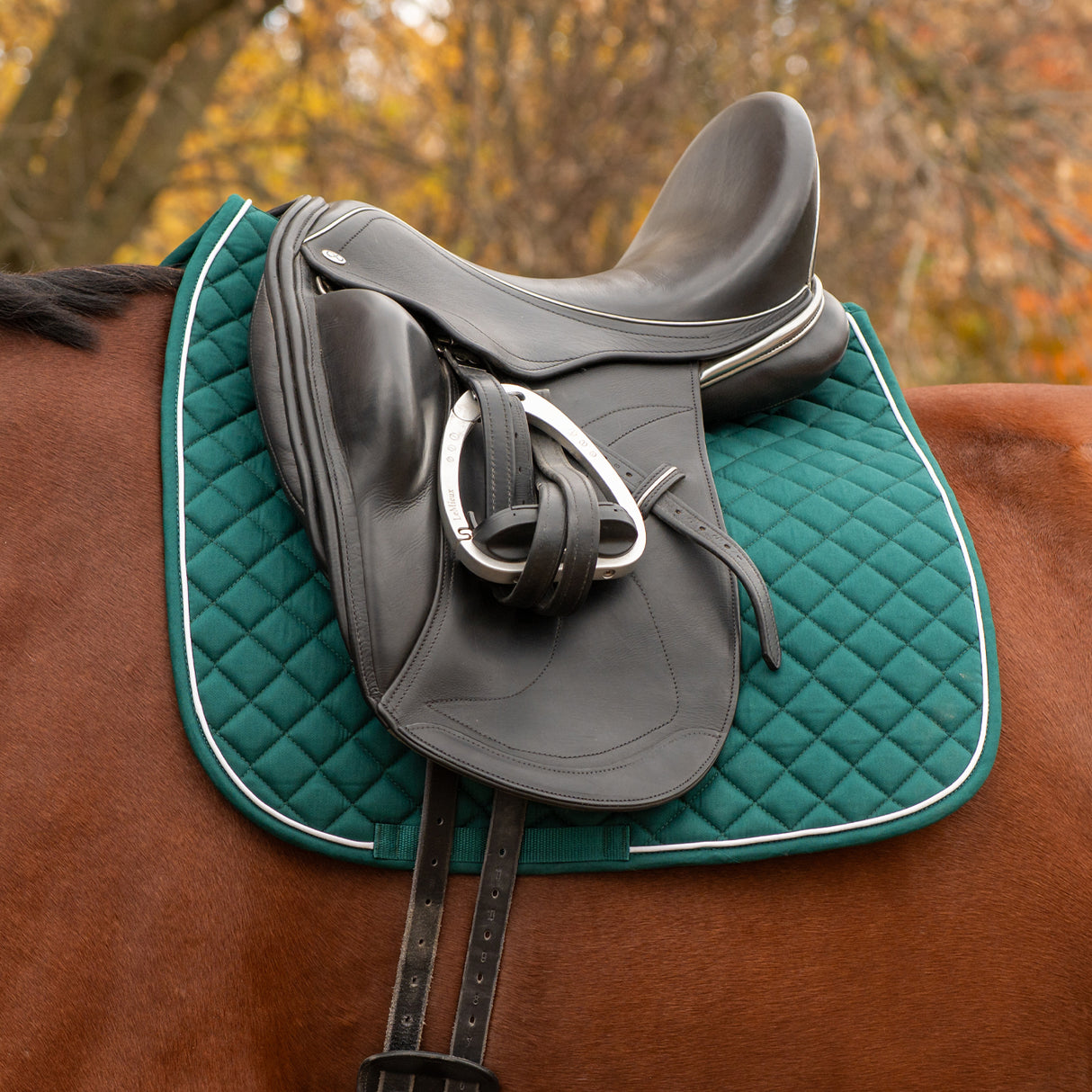 Shedrow Original Dressage Saddle Pad 2.0