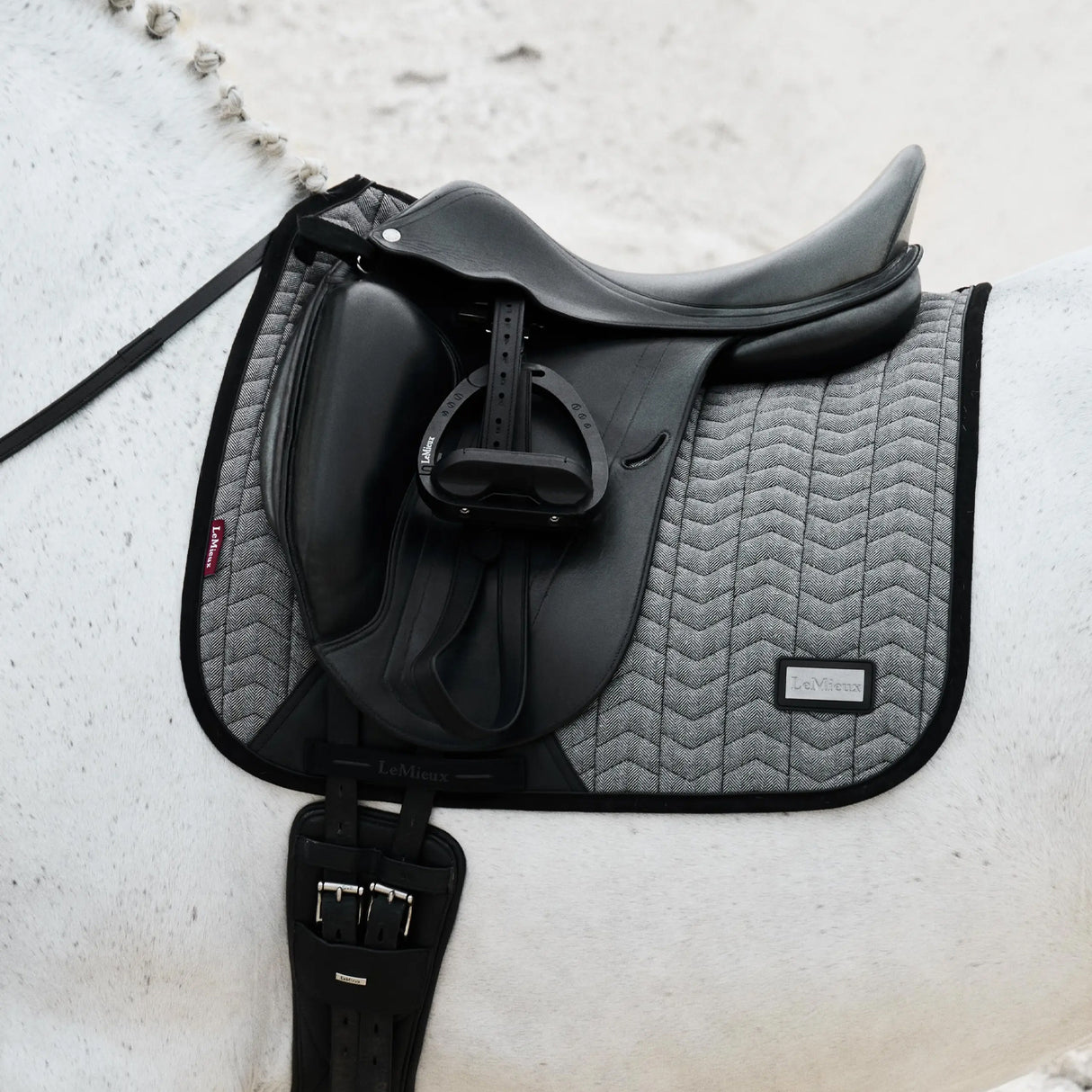 LeMieux Aspen Dressage Saddle Pad
