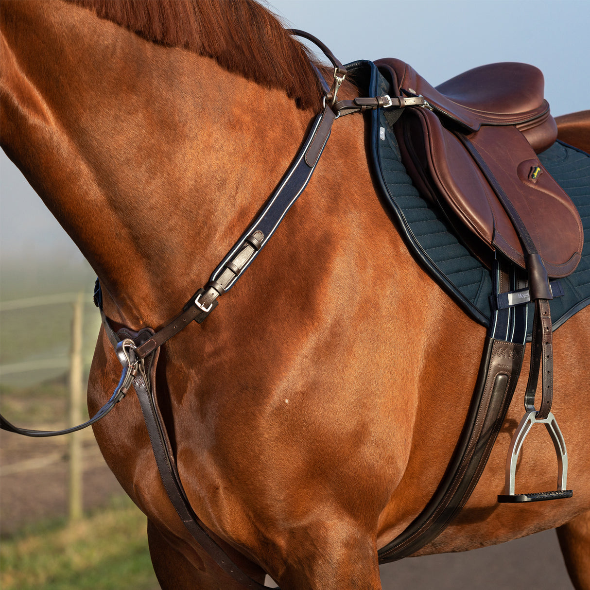 Rambo Micklem Breastplate