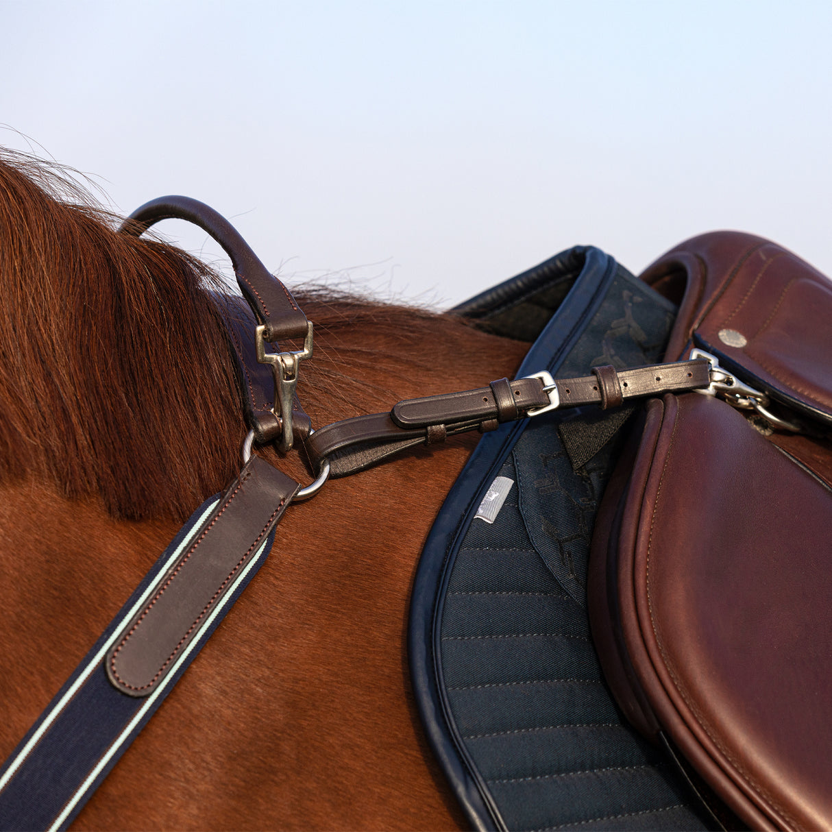 Rambo Micklem Breastplate