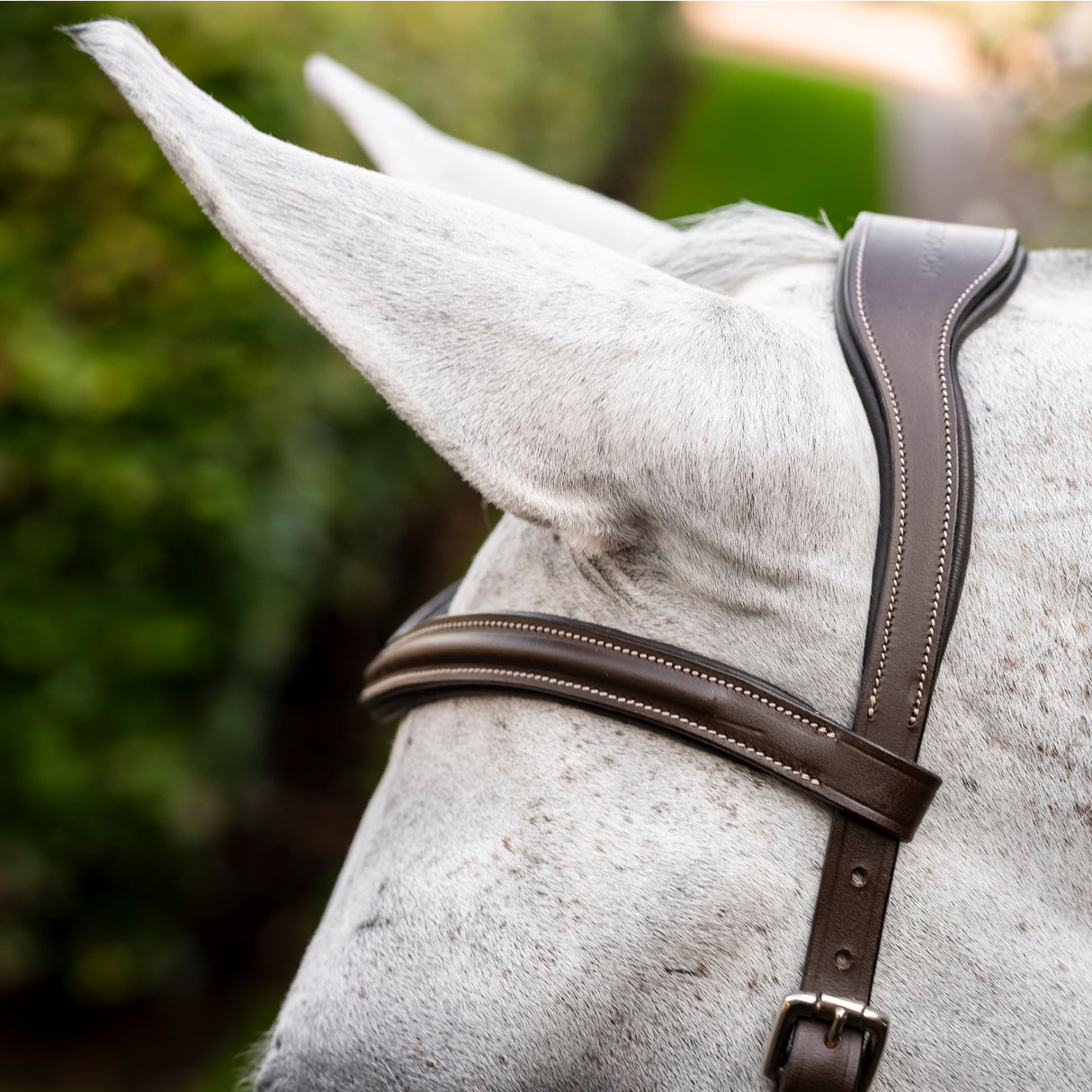 Rambo Micklem Deluxe Competition Bridle