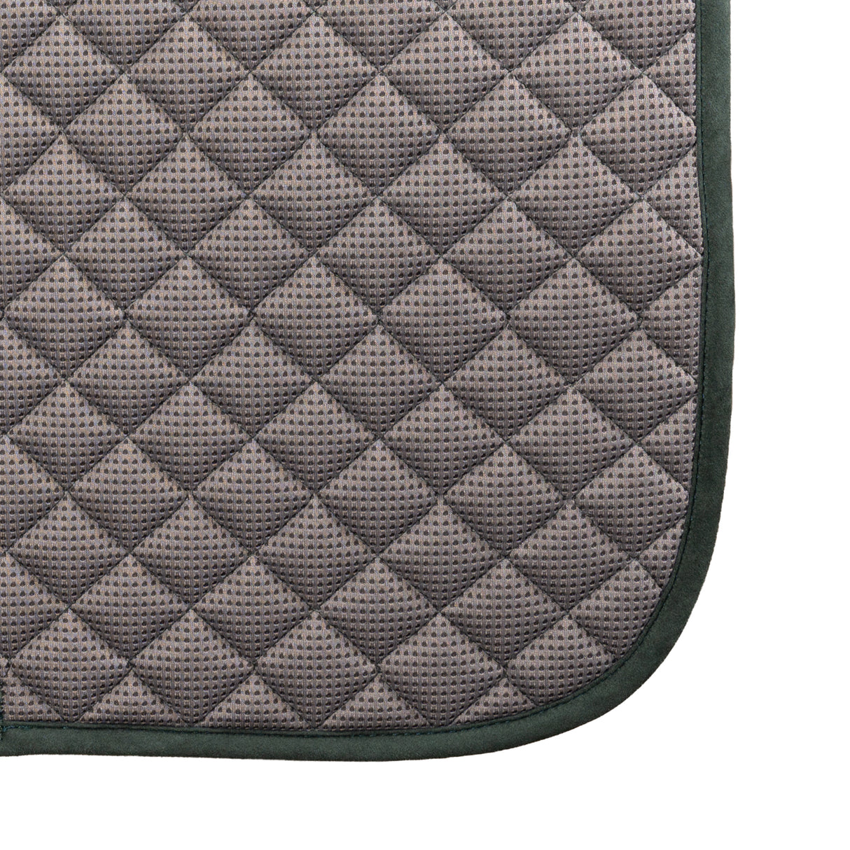 Shedrow Stryde Saddle Pad