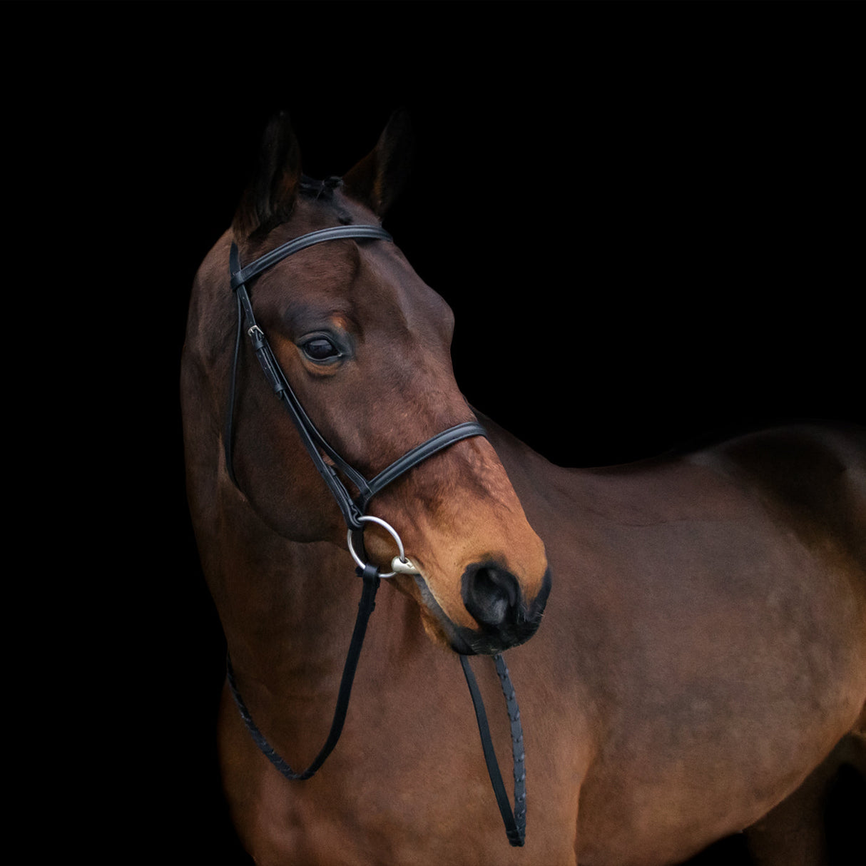 Connemara Bridle