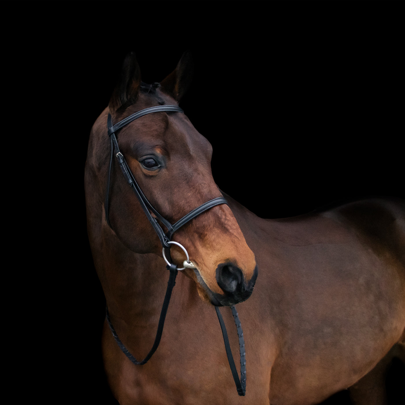 Connemara Bridle