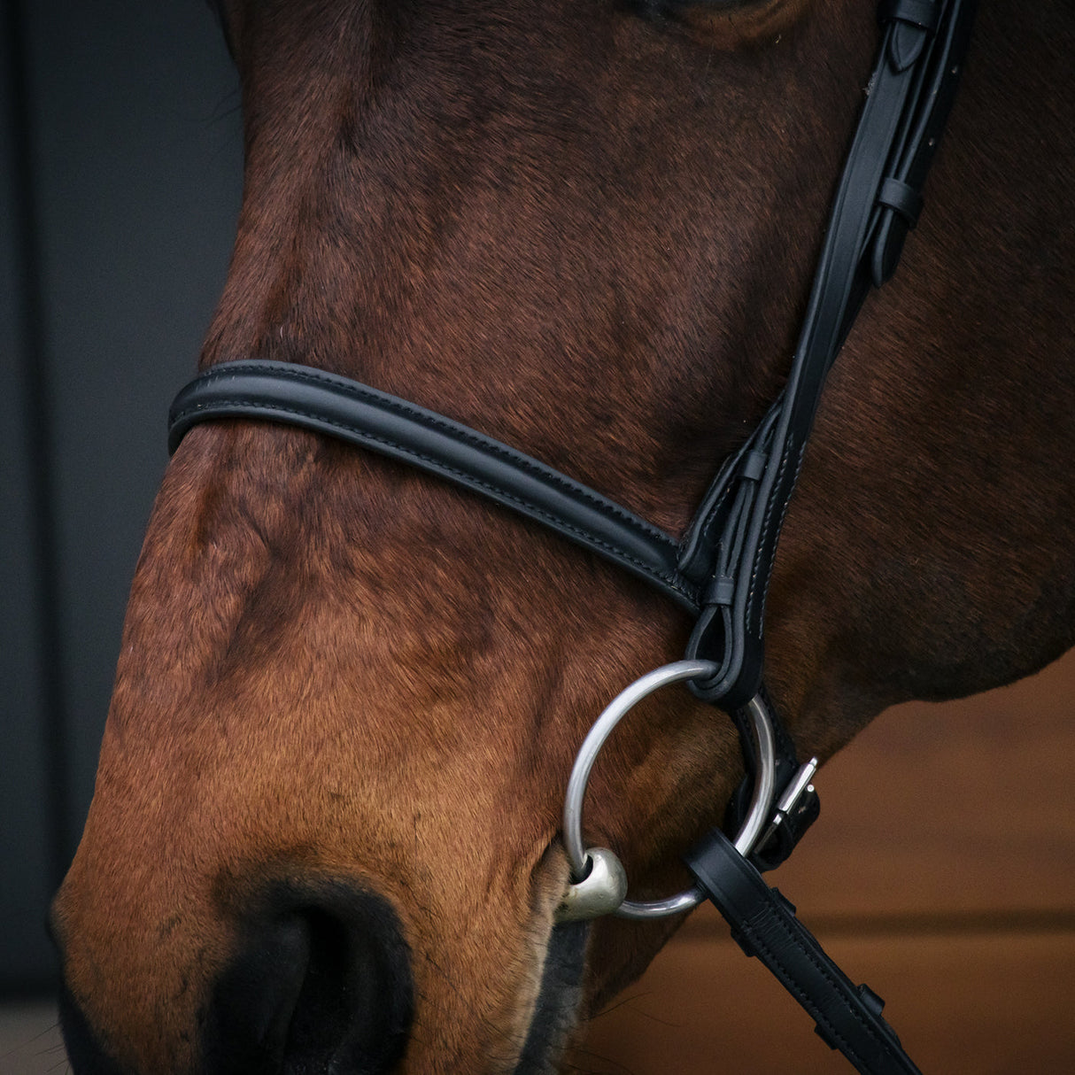 Connemara Bridle
