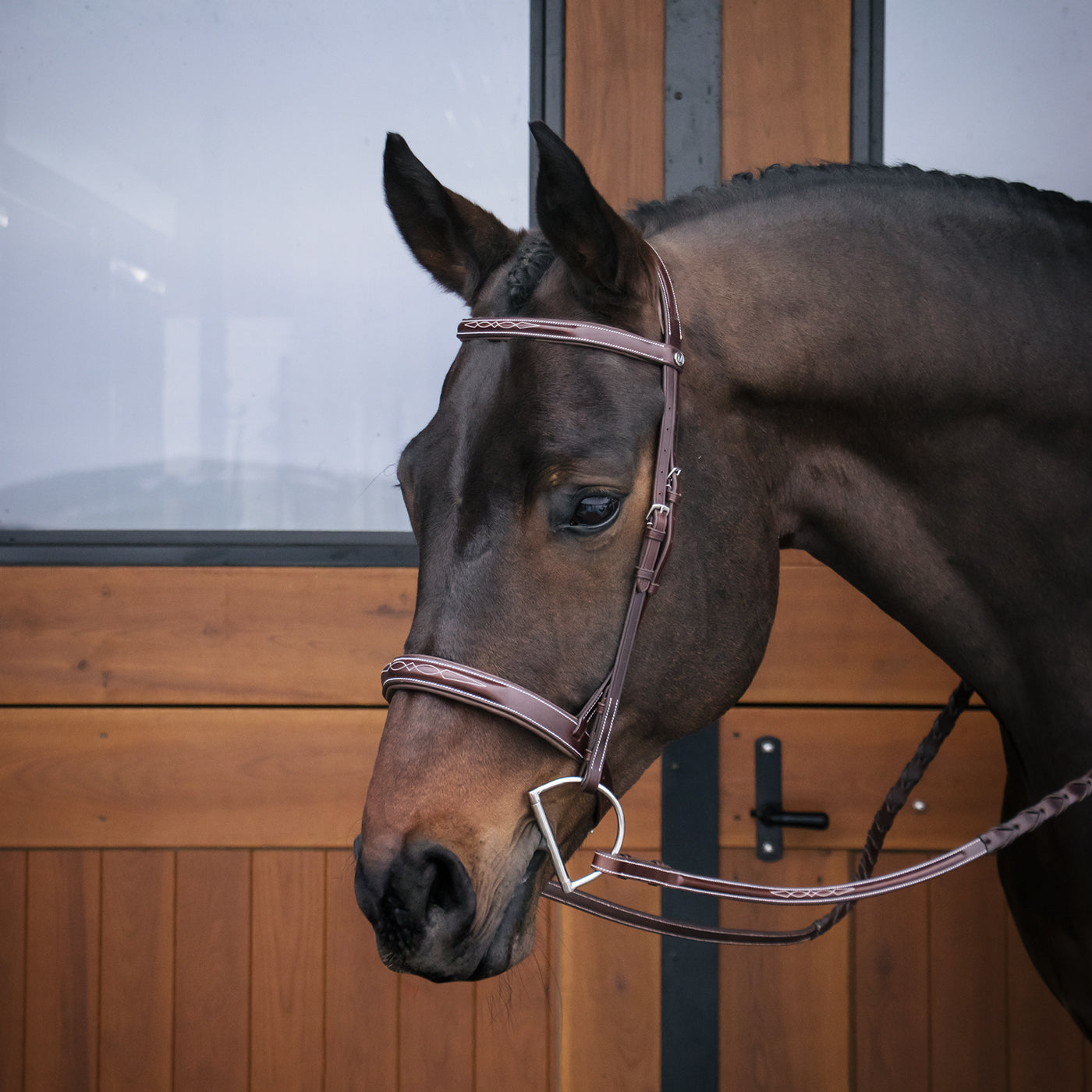 Mondega Coretto Wide Noseband Hunter Bridle